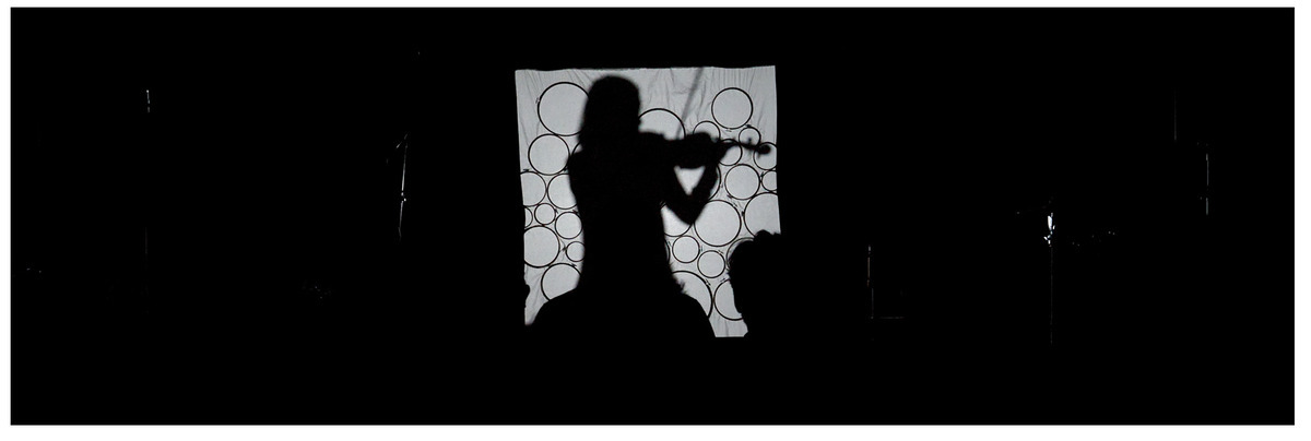 The Shadow Harvester: Sonifying the Body Through Light