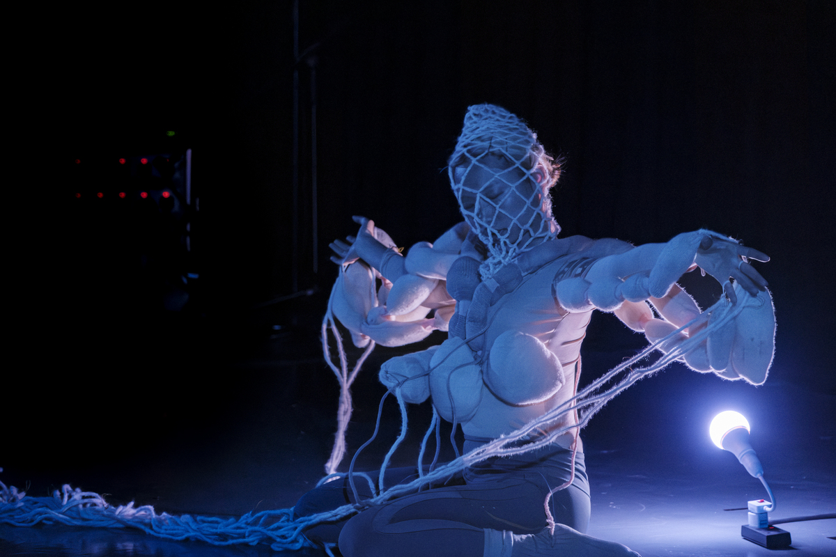 Between Garment and Prosthesis: The Design of an E-Textile Musical Interface